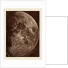 Photographie de la lune a son 1er Quartier, 1865 by Lewis Rutherford