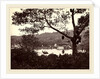A Peep from Upper Lake Road showing Temple and Island with Park, fruit tree in foreground, c.1865 by Samuel Bourne