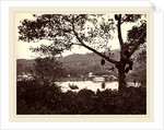 A Peep from Upper Lake Road showing Temple and Island with Park, fruit tree in foreground, c.1865 by Samuel Bourne