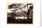 A Peep from Upper Lake Road showing Temple and Island with Park, fruit tree in foreground, c.1865 by Samuel Bourne
