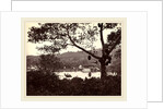 A Peep from Upper Lake Road showing Temple and Island with Park, fruit tree in foreground, c.1865 by Samuel Bourne