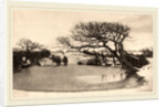 A Winter's Morning, 1887 by Peter Henry Emerson