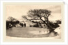 A Winter's Morning, 1887 by Peter Henry Emerson