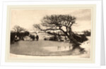 A Winter's Morning, 1887 by Peter Henry Emerson