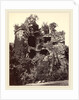 The Exploded Tower, Heidelberg Castle, c. 1865 by Adolphe Braun