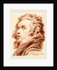 A Young Man with Flowing Hair, 1777 by Jacob Matthias Schmutzer