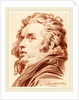 A Young Man with Flowing Hair, 1777 by Jacob Matthias Schmutzer