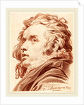 A Young Man with Flowing Hair, 1777 by Jacob Matthias Schmutzer