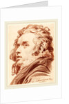 A Young Man with Flowing Hair, 1777 by Jacob Matthias Schmutzer