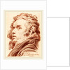 A Young Man with Flowing Hair, 1777 by Jacob Matthias Schmutzer