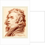 A Young Man with Flowing Hair, 1777 by Jacob Matthias Schmutzer