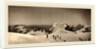 Summit of Mont Titlis, Switzerland, 1866 by Adolphe Braun