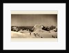 Summit of Mont Titlis, Switzerland, 1866 by Adolphe Braun