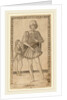 Chavalier, c. 1465 by Master of the E-Series Tarocchi