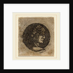 Head of a Roman Emperor by Circle of Francesco Francia