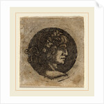 Head of a Roman Emperor by Circle of Francesco Francia