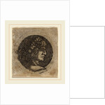 Head of a Roman Emperor by Circle of Francesco Francia