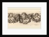Festoon with Medici Coat of Arms, probably 1648 by Stefano Della Bella