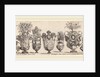 Fantastic Vases, probably 1646 by Stefano Della Bella