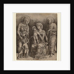 Holy Family with Saint Elizabeth and the Infant Saint John by Giovanni Antonio da Brescia