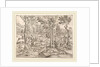 Deer in the Forest, c. 1520 by Anonymous