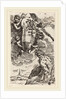 Frontispiece with Coat of Arms by Simone Cantarini