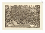 The Inhabited Tree, probably 1653 by Stefano Della Bella