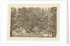 The Inhabited Tree, probably 1653 by Stefano Della Bella