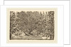 The Inhabited Tree, probably 1653 by Stefano Della Bella