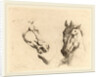 Head of a Horse Seen in Profile and in Three-Quarters by Stefano Della Bella