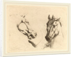 Head of a Horse Seen in Profile and in Three-Quarters by Stefano Della Bella