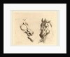 Head of a Horse Seen in Profile and in Three-Quarters by Stefano Della Bella