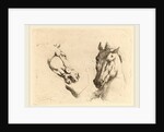 Head of a Horse Seen in Profile and in Three-Quarters by Stefano Della Bella