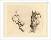 Head of a Horse Seen in Profile and in Three-Quarters by Stefano Della Bella
