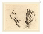 Head of a Horse Seen in Profile and in Three-Quarters by Stefano Della Bella