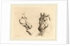 Head of a Horse Seen in Profile and in Three-Quarters by Stefano Della Bella
