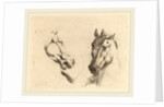 Head of a Horse Seen in Profile and in Three-Quarters by Stefano Della Bella