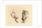 Head of a Horse Seen in Profile and in Three-Quarters by Stefano Della Bella