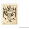 Arms with a Dedication to Grand Duke Ferdinand II by Stefano Della Bella