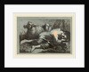 Peasant Boy Asleep near Two Sheep by Francesco Londonio