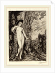Le lion amoreux by Félix Bracquemond