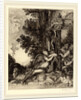 La dionade by Félix Bracquemond