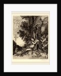 La dionade by Félix Bracquemond