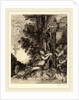 La dionade by Félix Bracquemond