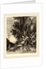 La dionade by Félix Bracquemond