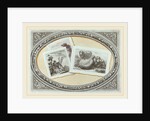 Trompe l'Oeil: Landscapes and Sheep by Anonymous