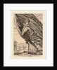 The Great Standard Bearer, 1587 by Hendrik Goltzius
