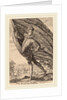 The Great Standard Bearer, 1587 by Hendrik Goltzius