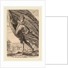 The Great Standard Bearer, 1587 by Hendrik Goltzius