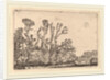 Herd of Sheep near the Hague, 1621 by Willem Buytewech